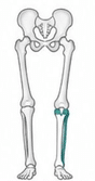 Structural LLD